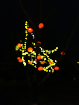 树上的夜景亮化彩色灯光
