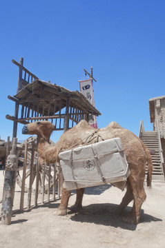 运茶叶的骆驼