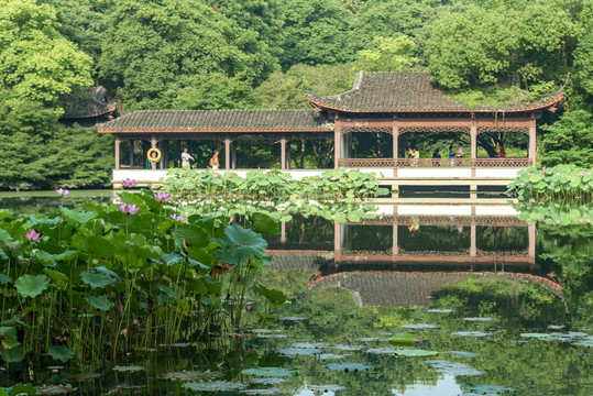 杭州西湖曲院风荷中式建筑