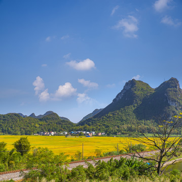 风景