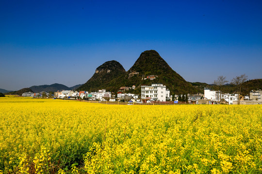 罗平金鸡峰丛油菜花海