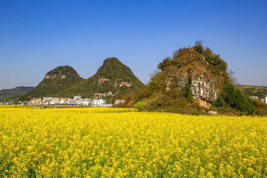 罗平金鸡峰丛油菜花海