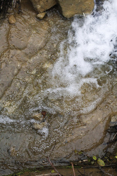 小溪流水