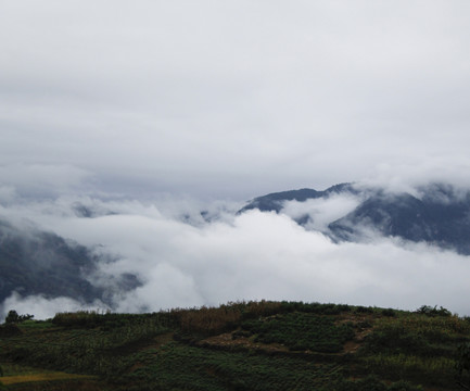 云雾山