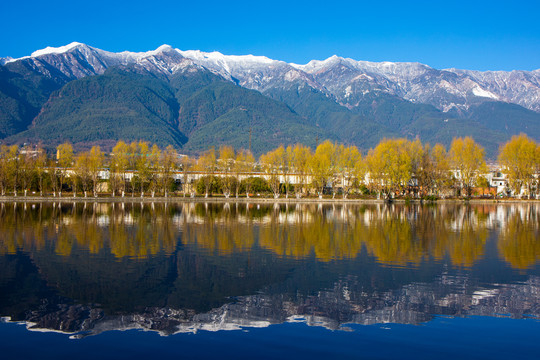 大理苍山雪景
