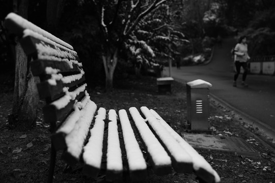 雪后的长椅