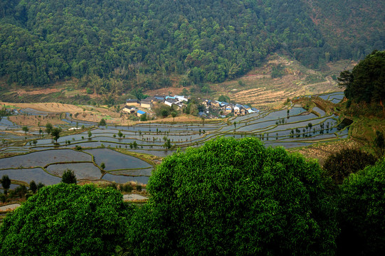 山村梯田