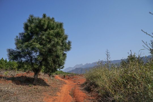 山路