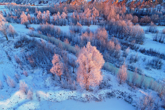 大兴安岭雪原红树林