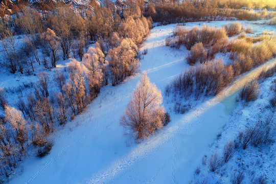 大兴安岭雪域冰河树林朝阳