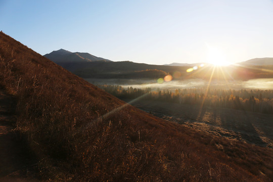 冬日美景