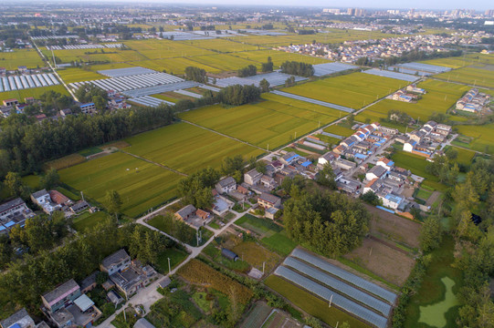 中国农村生产生活场景