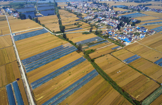 中国农村生产生活场景