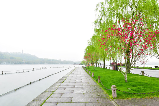 杭州西湖白堤春景桃红柳绿
