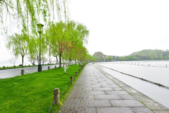 杭州西湖白堤春景