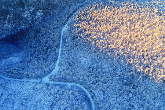 航拍雪色山林山路