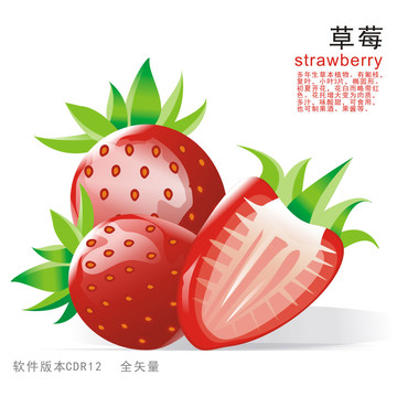草莓手绘