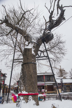 山东青州古城景区雪景