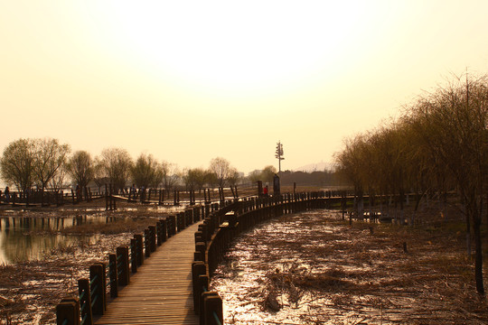 苏州太湖秋游风景