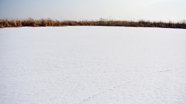 冰天雪地