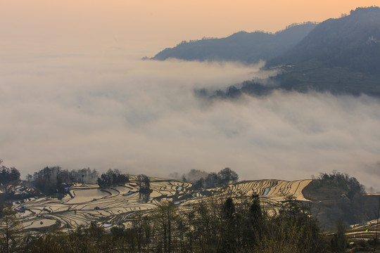 元阳哈尼梯田11