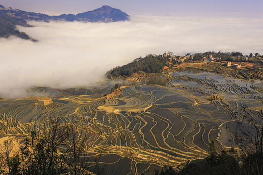 元阳哈尼梯田3