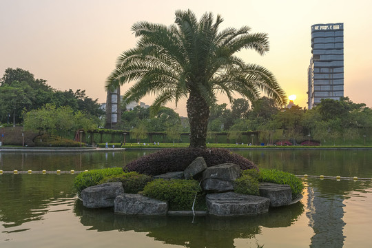 千灯湖小景