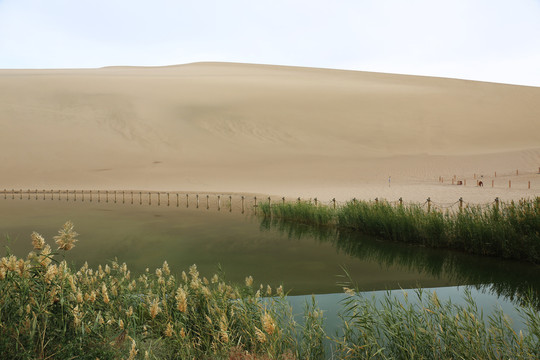 月牙泉全景