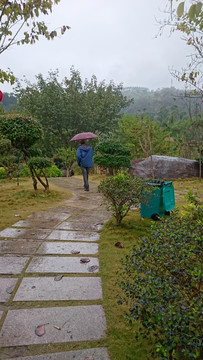 雨中小道