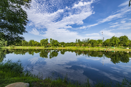 蓝天白云浐国家湿地公园