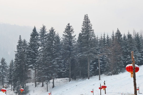 雪乡的冬天