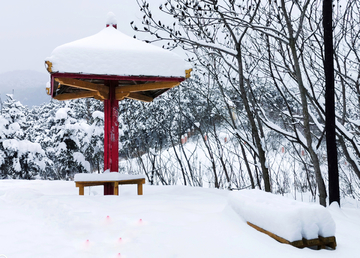 雪后