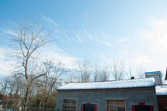 乡村雪景