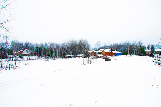 乡村雪景