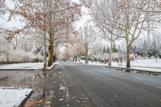 雪后道路