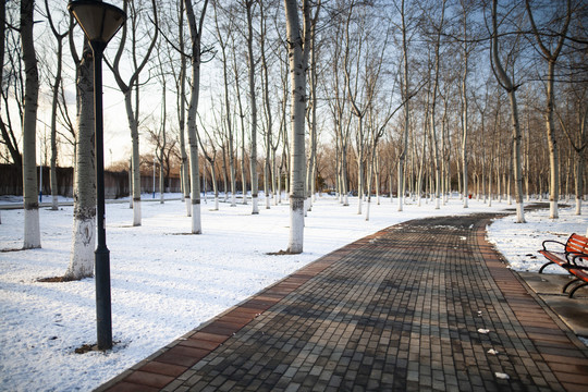 阳光雪地