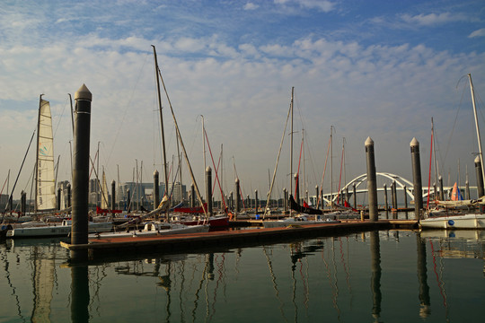 厦门帆船港风景