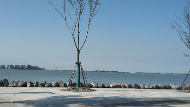 滴水湖