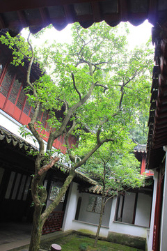 苏州天平山