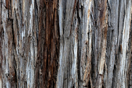 粗糙开裂的木材背景纹