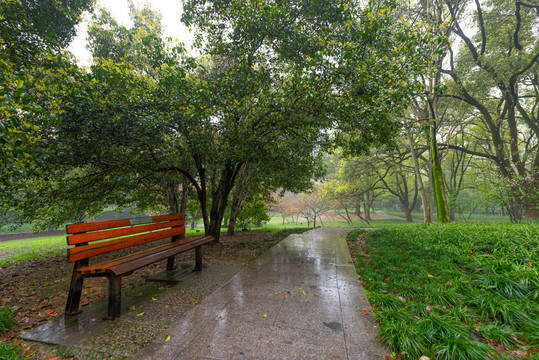 雨后的公园