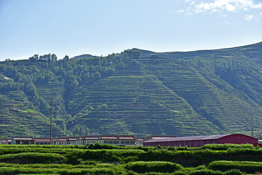 乡村风光