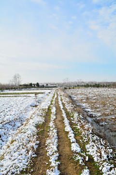 雪后乡间小路