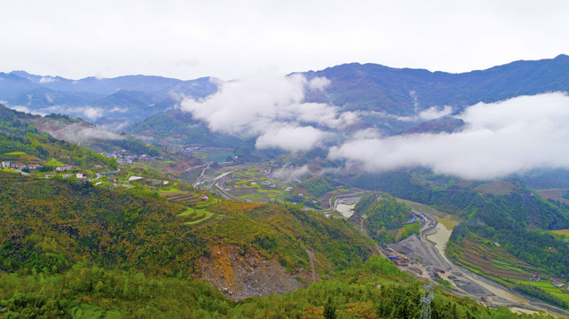 汇湾茶叶