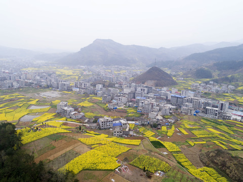 航拍水坪全景