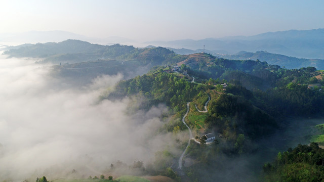 县河高山云雾