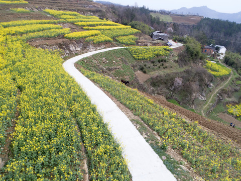 水坪航拍乡村公路