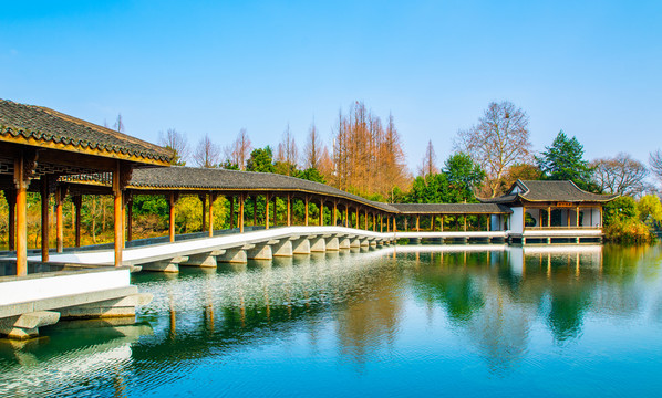 园林风景