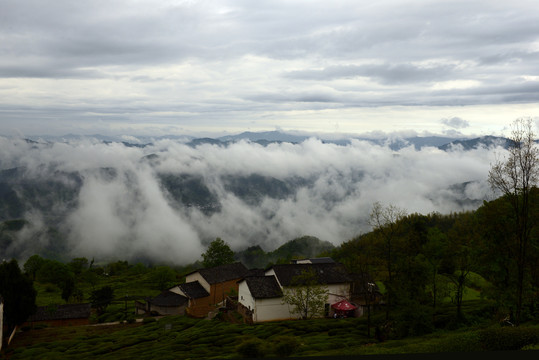 金龙山风云