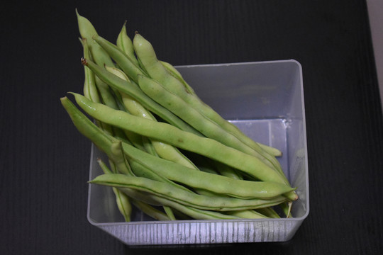 四季豆